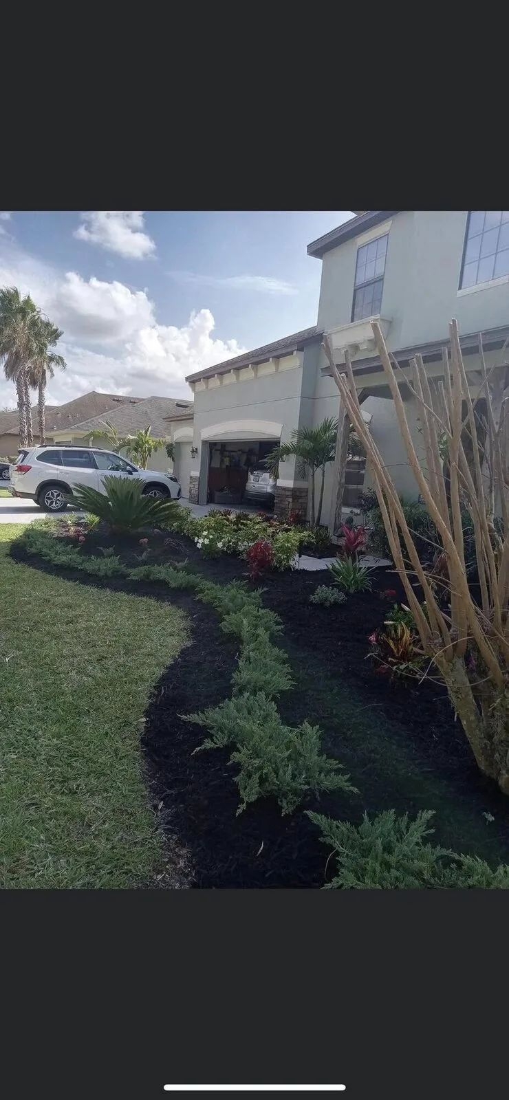 New planting bed